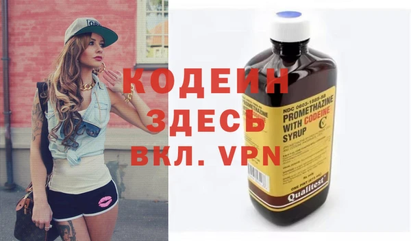 мдпв Бородино