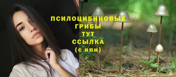 мдпв Бородино