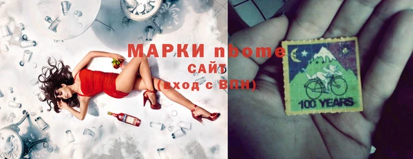 мдпв Бородино