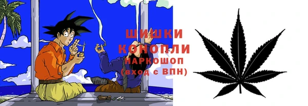 твердый Бронницы