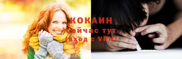 твердый Бронницы