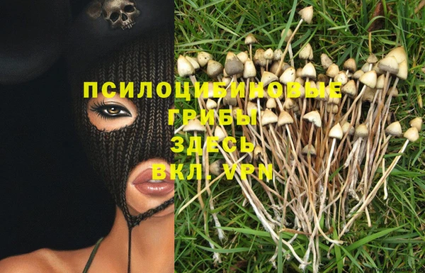 мдпв Бородино