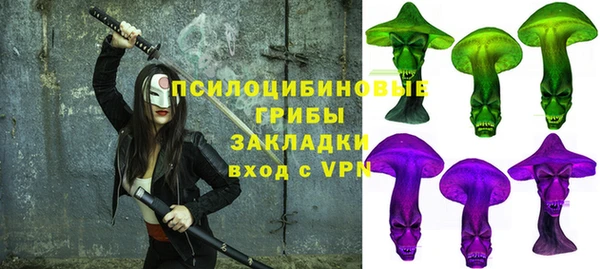 мдпв Бородино