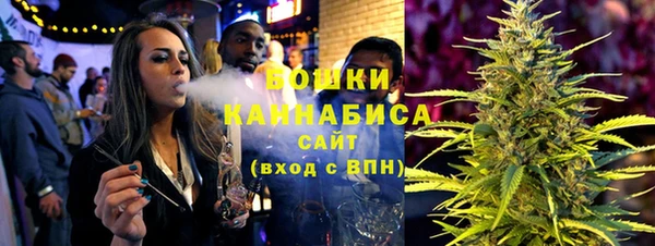 мдпв Бородино