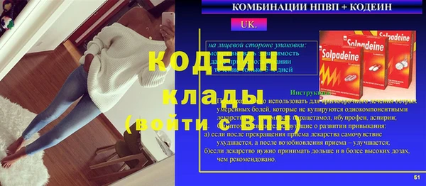 мдпв Бородино