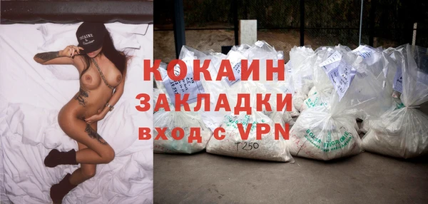 твердый Бронницы