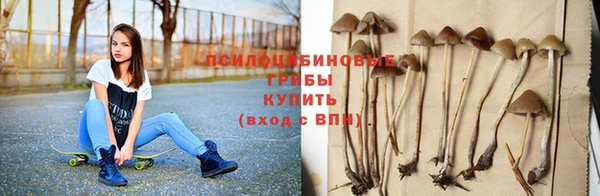 твердый Бронницы