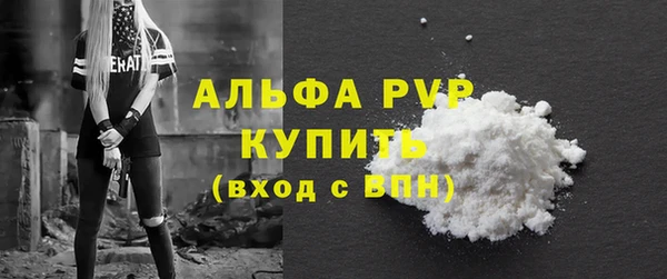 мдпв Бородино
